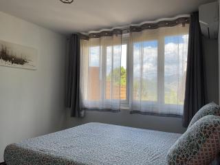 Domaine Le Rocher d Argent avec Piscine Extérieur ,Jacuzzi Intérieur et Salle de jeux - Berre-les Alpes - 2