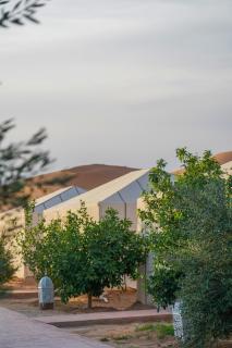 Les Roches Desert Camp - Merzouga - 8