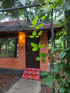 Elysium Vista Home Stay - 6