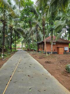 Elysium Vista Home Stay - 2