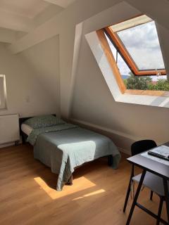Traumhaft moderne Einzelzimmer - Aldingen - 0