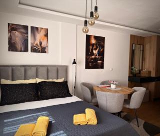 DUNjA Apartman - Vrnjačka Banja - 8