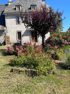 La marmottiere - - 9