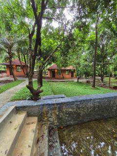 Elysium Vista Home Stay - 2