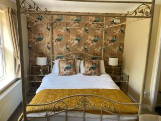 The Eiders - Aylmerton - 4