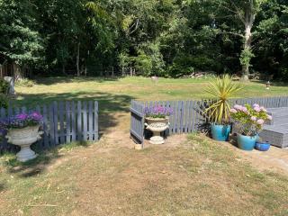 The Eiders - Aylmerton - 6