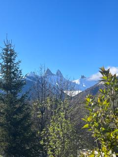 Les perdrix blanches - Saint-Sorlin-dʼArves - 0
