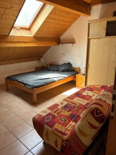 Les perdrix blanches - Saint-Sorlin-dʼArves - 1