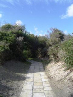 ALIMINI 2 - Casa a 100 mt dal mare- House 100 meteres of the sea - Alimini - 4