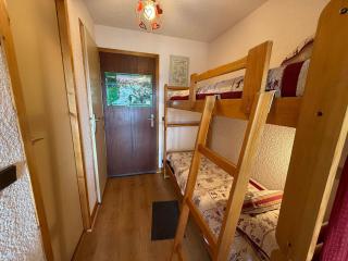 Les Saisies - Studio-Cabine avec balcon sud et casier à skis - FR-1-293-157 - Les Saisies - 4