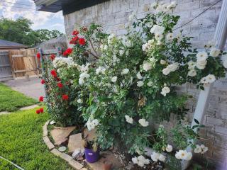 Family Retreat with Hot Tub, Piano, Games Room & Playhouse Medi Center Location - Amarillo - 3