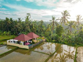 Dukuh Sari Villa - Ubud - 1