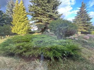 Noclegi Bajkowe 56 -  - 9