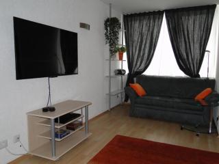 Alb Studio in Sankt Blasien - St. Blasien - 6