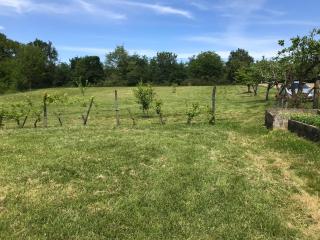 EMPLACEMENT pour VOTRE TENTE, uniquement tente, Calme Nature Détente assurés - Saint-Sever - 9