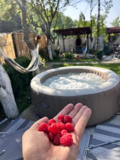 BraziHouse - pine escape with jacuzzi - Petroşani - 6