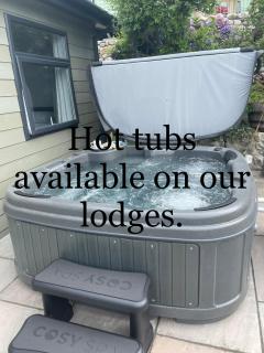 Hendre Coed Isaf Caravan Park - 4