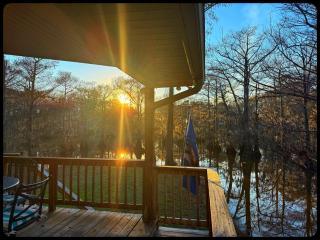 The treehouse - - 2