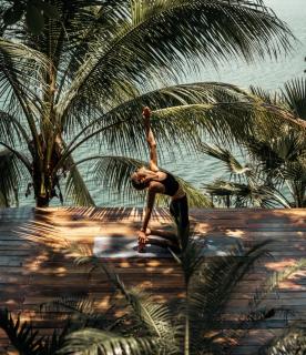 Samaya Wellness Lodge - Green Lotus - 2