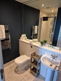 High Rise Luxury, Belfast - Belfast - 9