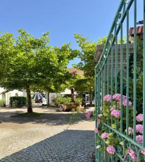 Villa Schloss Rimsingen Fine Apartments - 1