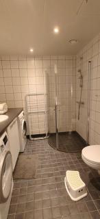Central Oslo 3 rooms Apartment - Oslo - 5