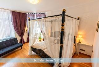 Grafenwohnung mit großem Dachgarten im Gästehaus Graf-Schmelzer - Trittenheim - 9