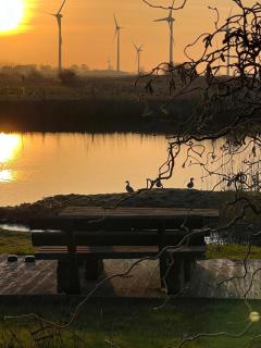 Ferienhaus Helserdeich - Urlaub zwischen Brunsbüttel und Friedrichskoog - Helse - 9