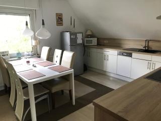 Familienfreundliche Wohnung Monteurwohnung Netflix - Paderborn - 0