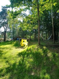 Warmia Forest House - Pod koronami drzew - Jedzbark - 9