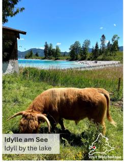 Seeblick Apartment am Walchensee - Walchensee - 8