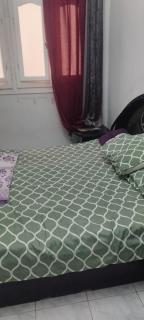 العصافره بحري بتشوف البحر دور ثالث اسانسير تلات غرف وحمامين - 6