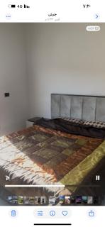 مزرعة وفيلا غابة الارز - 5