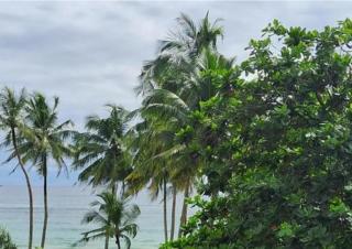 Roman Residence - Unawatuna - 9