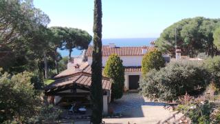 Rustic Guesthouse - 8