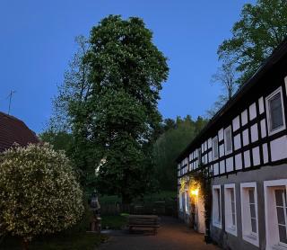 Ferienzimmer Teiselsmühle Gehren Heideblick - Heideblick - 5