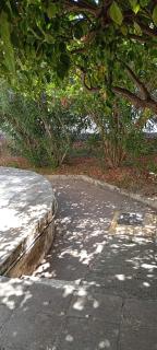 Giannis Valeria - Rhodos (Stadt) - 6