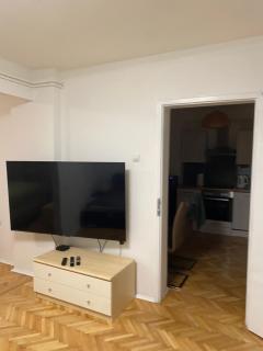 Apartman HC MAKSIMIR REBRO CENTAR - Zagreb - 6