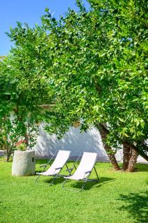 Garden apartments Ischia super centrale - Ischia - 7