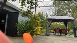 Dream House - Batumi - 7