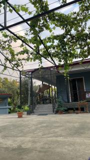 Dream House - Batumi - 8
