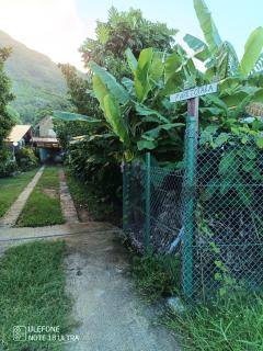 Fare Totara, jardin verdoyant - Moorea - 9