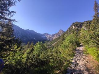 Ania Wynajem Pokoi - Zakopane - 6