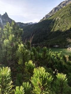 Ania Wynajem Pokoi - Zakopane - 7