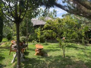 Podocarpus cottages - Naro Moru - 2