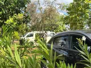 Podocarpus cottages - 4