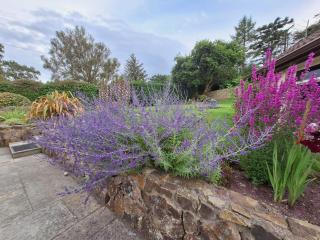 Tullydish - Kilmacanoge - 1
