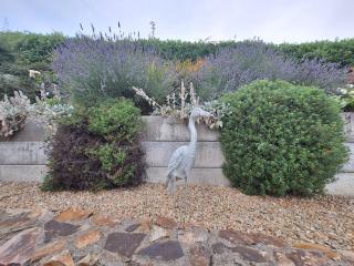 Tullydish - 2