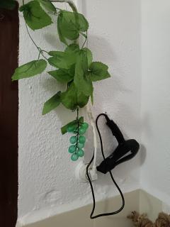 Casa Calhameiro - Redondo - 8