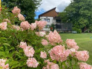 Casa- Dealu Leahului - 1